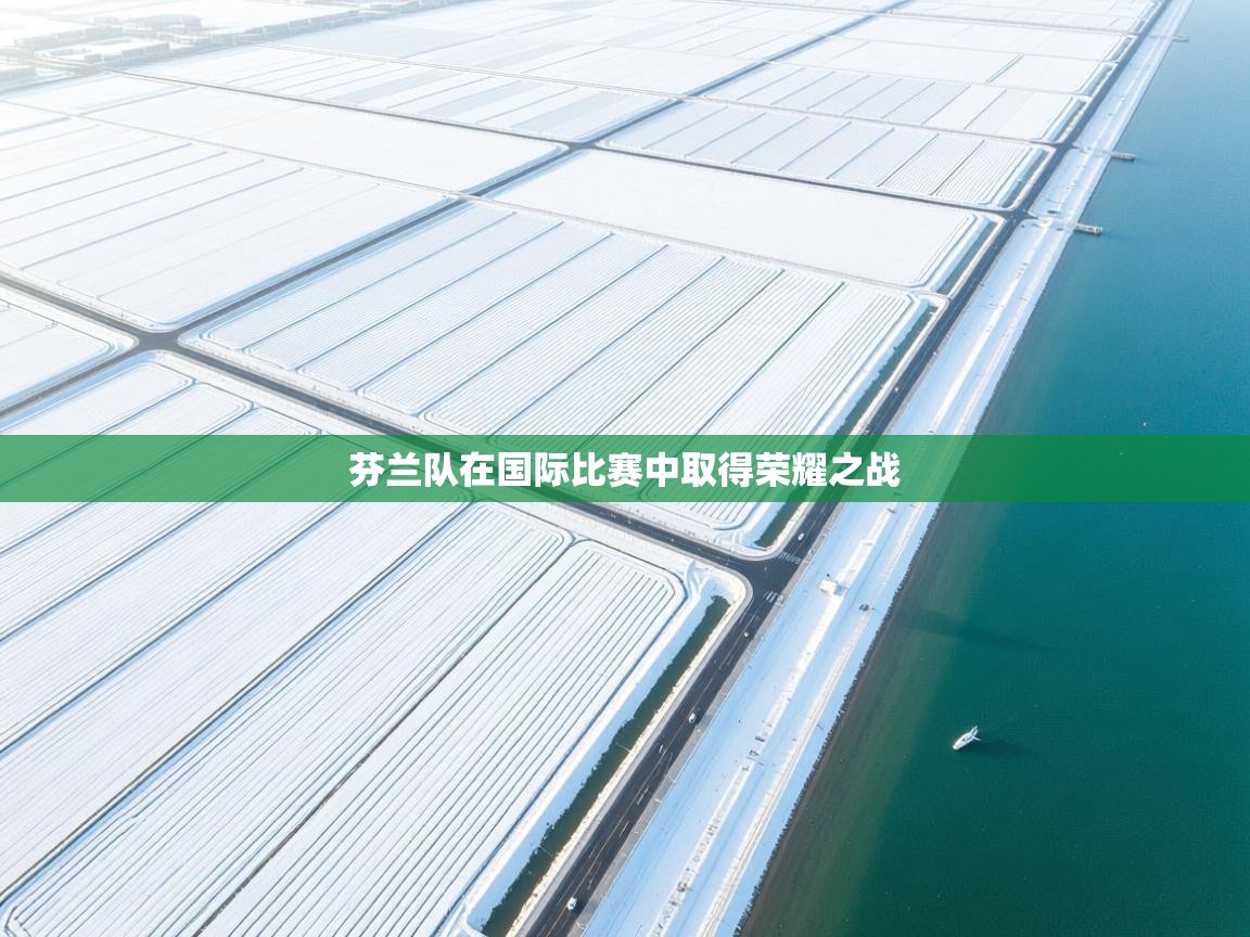 开云体育入口-芬兰队在国际比赛中取得荣耀之战  第2张