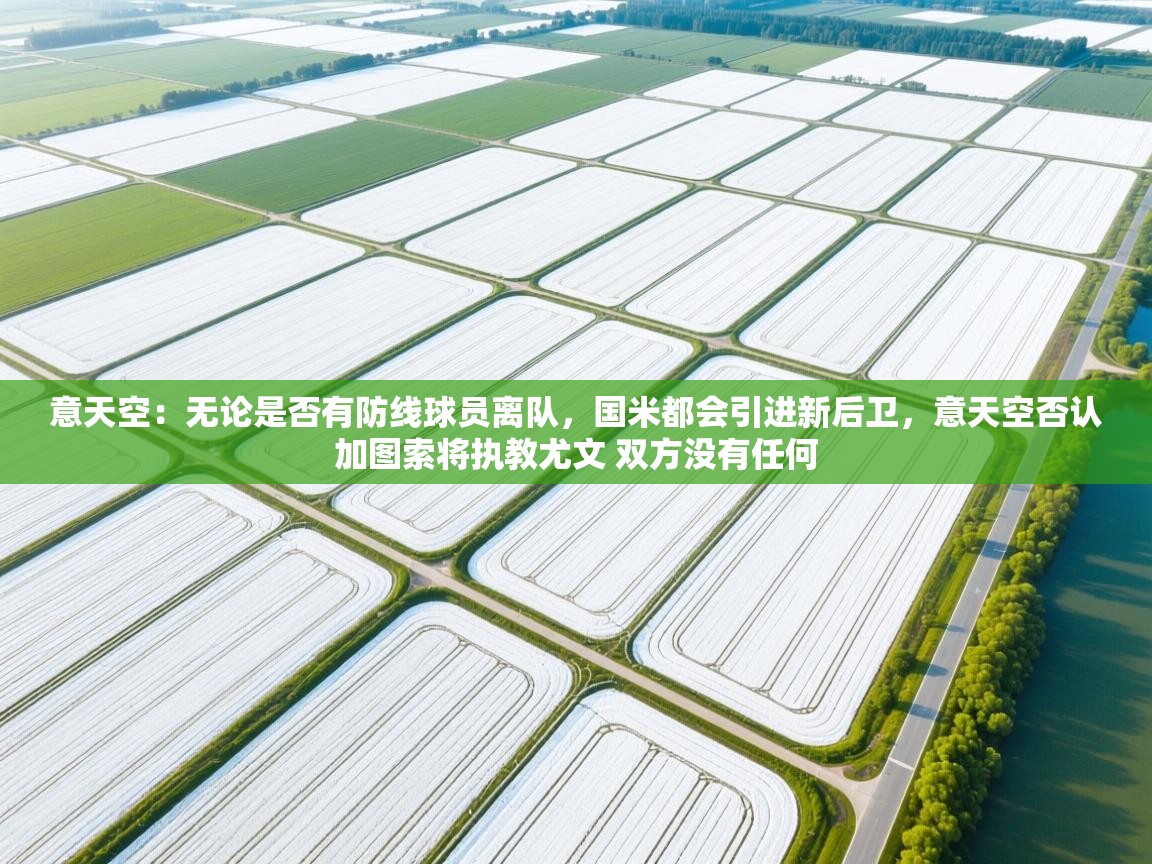 云开体育app登录入口-意天空：无论是否有防线球员离队，国米都会引进新后卫，意天空否认加图索将执教尤文 双方没有任何  第3张