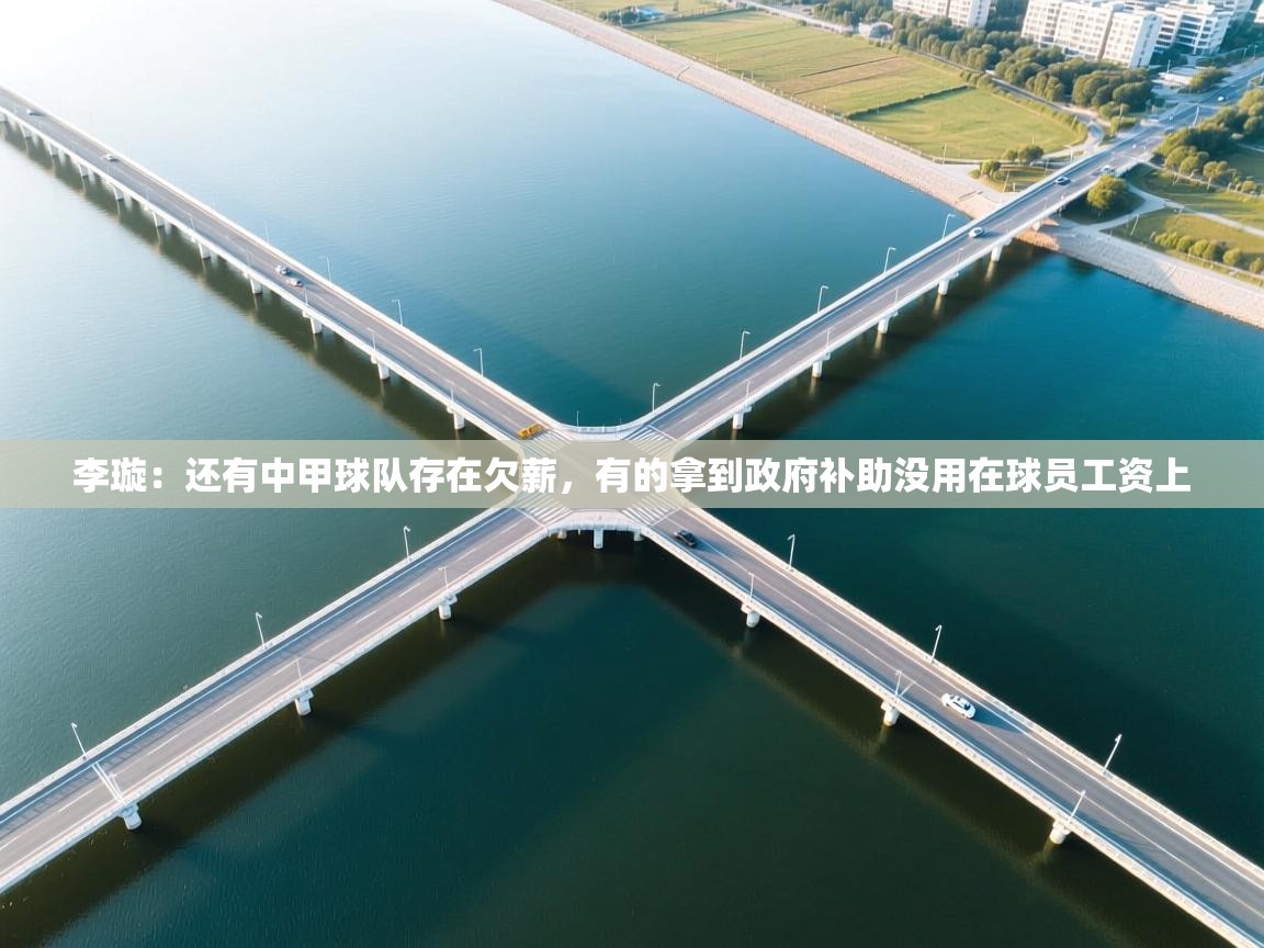 开云体育入口客服-李璇:还有中甲球队存在欠薪,有的拿到政府补助没用在球员工资上 第1张