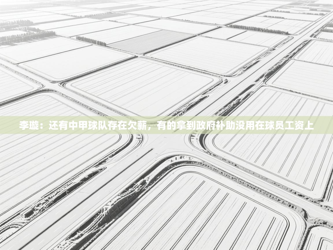 开云体育入口客服-李璇:还有中甲球队存在欠薪,有的拿到政府补助没用在球员工资上 第3张