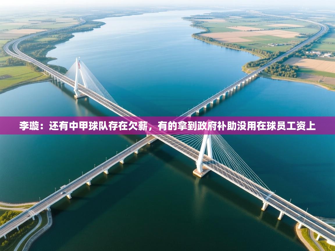 开云体育入口客服-李璇:还有中甲球队存在欠薪,有的拿到政府补助没用在球员工资上 第2张