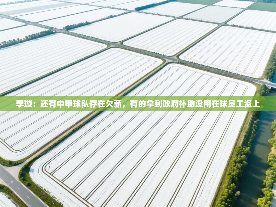 开云体育入口客服-李璇:还有中甲球队存在欠薪,有的拿到政府补助没用在球员工资上 第4张