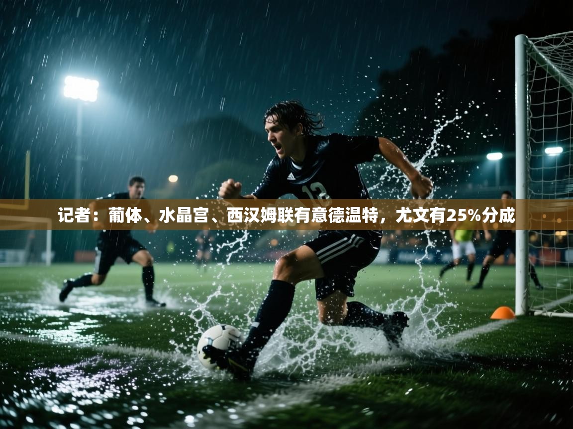 kaiyun sports-记者:葡体、水晶宫、西汉姆联有意德温特,尤文有25%分成 第1张