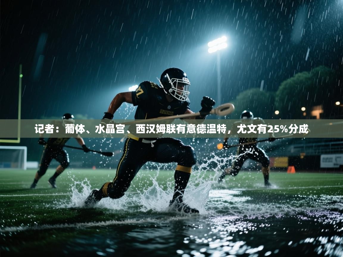 kaiyun sports-记者:葡体、水晶宫、西汉姆联有意德温特,尤文有25%分成 第2张