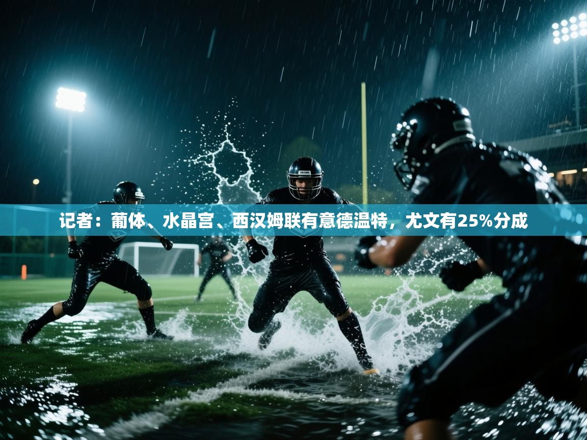 kaiyun sports-记者:葡体、水晶宫、西汉姆联有意德温特,尤文有25%分成 第3张