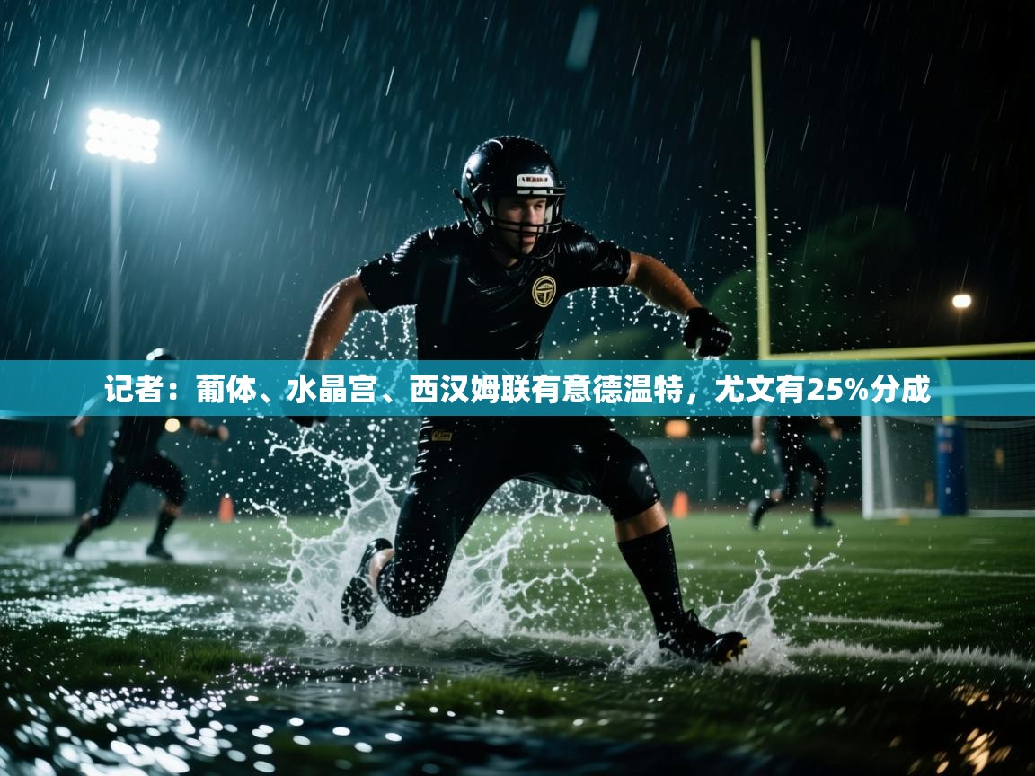 kaiyun sports-记者:葡体、水晶宫、西汉姆联有意德温特,尤文有25%分成 第4张