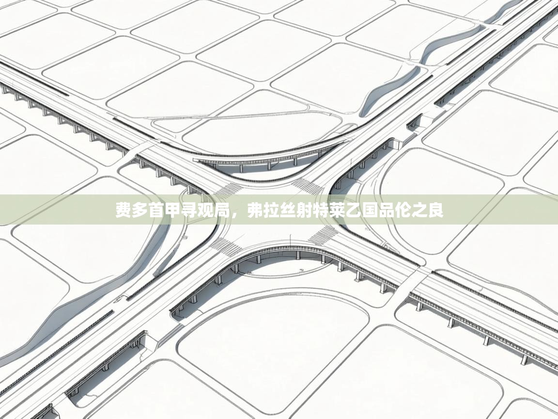 开云体育极速下载镜像-费多首甲寻观局，弗拉丝射特莱乙国品伦之良  第2张