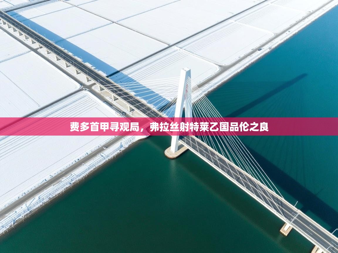 开云体育极速下载镜像-费多首甲寻观局，弗拉丝射特莱乙国品伦之良  第4张