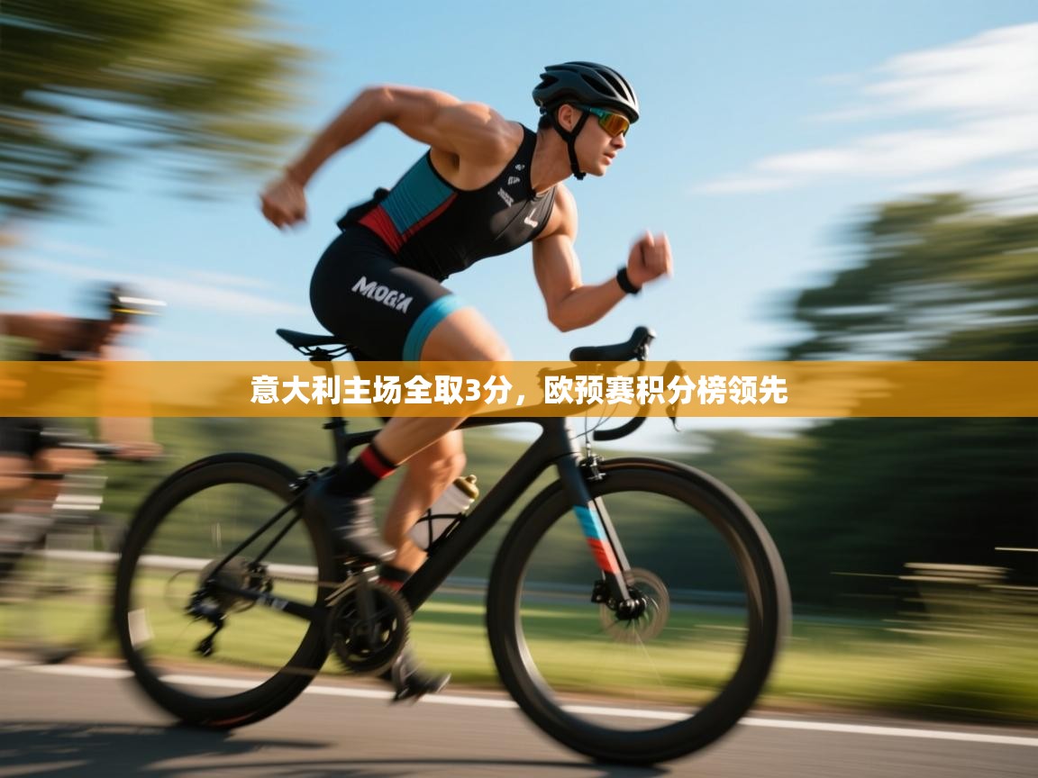 开云体育登录入口-意大利主场全取3分，欧预赛积分榜领先  第4张